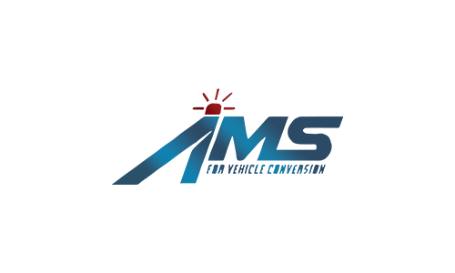 AMS Egypt