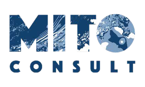 Mito Consult